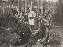 Watch The Witch of the Everglades (Short 1911)