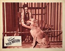 Watch Wild Waters (Short 1935)