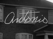 Watch Antonio (Short 1966)