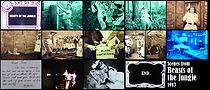 Watch Beasts of the Jungle (Short 1913)