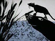 Watch Billy the Seal