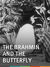 Watch The Brahmin and the Butterfly (Short 1901)