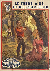 Watch Brother Bill (Short 1913)