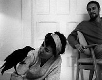 Watch 30 Minutes, Mister Plummer (Short 1963)