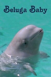 Watch Beluga Baby (Short 1978)