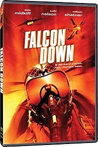 Watch Falcon Down