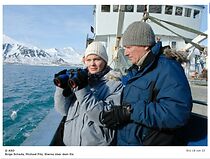 Watch Sterne über dem Eis