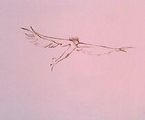 Watch Icarus (Short 1974)