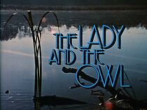 Watch The Lady and the Owl (Short 1975)