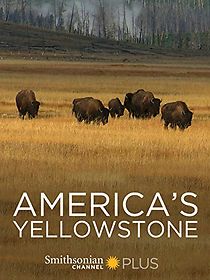 Watch America's Yellowstone