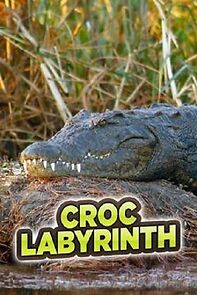 Watch Croc Labyrinth