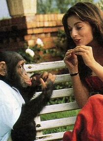 Watch Le propre de l'homme