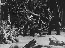 Watch Hunting Teddy Bears (Short 1908)