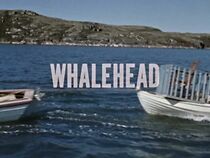 Watch Whalehead (Short 1963)