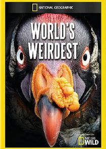 Watch World's Weirdest