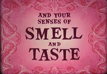 Watch You and Your Senses of Smell and Taste (Short 1956)