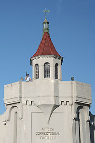 Watch Breaking the Cycle