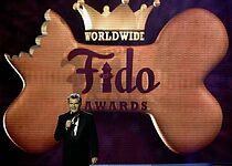 Watch The First Annual Worldwide Fido Awards (TV Special 2008)