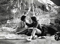 Watch Donna di cuori