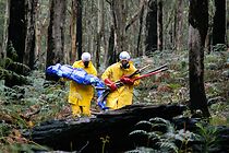 Watch Body Movie (Short 2012)