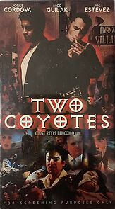 Watch Two Coyotes