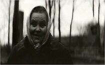 Watch Zhizn, osin (Short 2011)