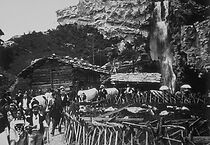 Watch The Cascade (Geneva Exposition) (Short 1896)