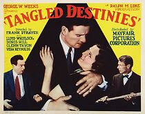 Watch Tangled Destinies
