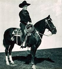 Watch The Law and the Outlaw (Short 1913)