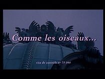 Watch Comme les oiseaux