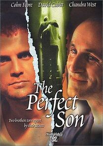 Watch A Perfect Son