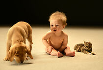 Watch Secret Life of Babies