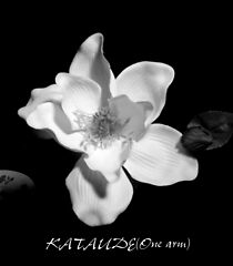 Watch Kataude (Short 2008)