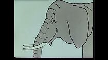 Watch Why I Like Elephant About the Zoo (Short 1983)