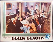 Watch Black Beauty