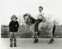 Watch The Road to God Knows Where