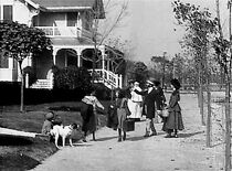 Watch The Suburbanite (Short 1904)