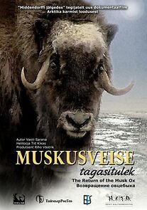 Watch Muskusveise tagasitulek
