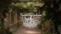 Watch Cora Coralina: Todas as Vidas