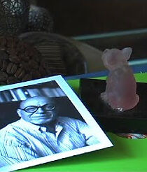 Watch Howard's Way (Short 2009)