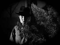 Watch Sondra Stingray: Sapphic Gumshoe (Short 2009)