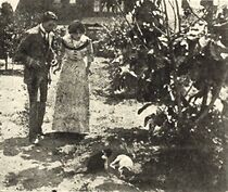 Watch Over the Garden Wall (Short 1911)