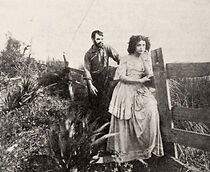 Watch Tangled Lives (Short 1911)