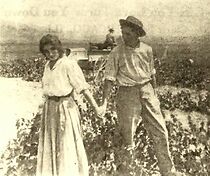 Watch The Temptation of Rodney Vane (Short 1911)