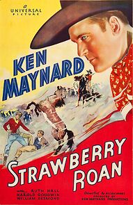 Watch Strawberry Roan