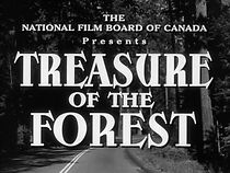 Watch Treasure of the Forest (Short 1958)