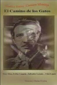 Watch Highway of Cats