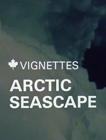 Watch Canada Vignettes: Arctic Seascape (Short 1980)