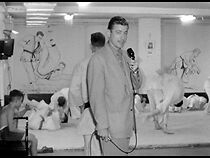 Watch Judo: Jinks (Short 1954)