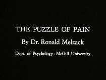 Watch The Puzzle of Pain (Short 1965)